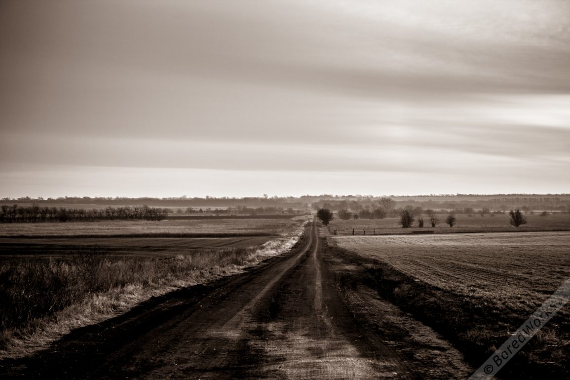 Morning Country Road