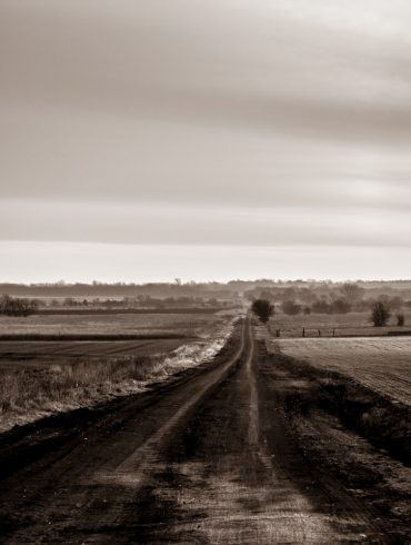 Morning Country Road