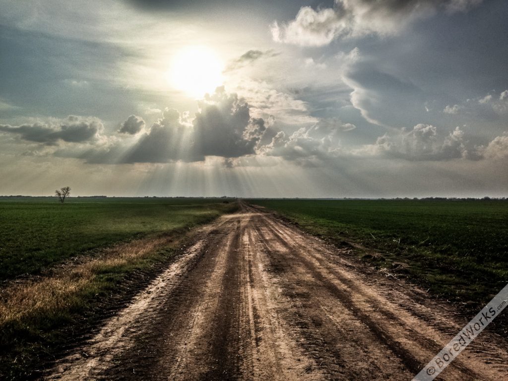 Sunny Dirty Windy Road
